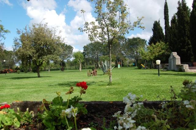 Agriturismo Giardini Di Varrone Ssa Grosseto Exterior foto